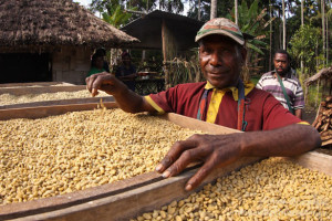 PNG-Coffee-farmer