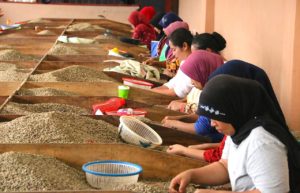 DIE LÄNDER DES KAFFEE - INDONESIEN