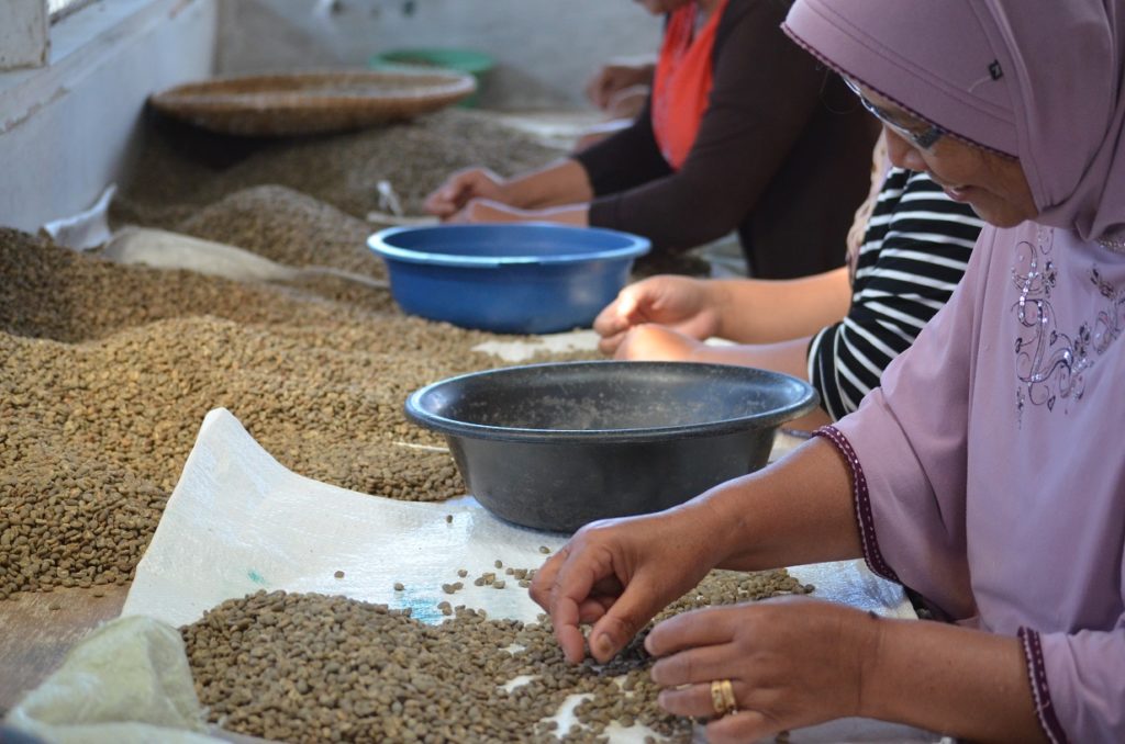 Selezione del caffè verdeSelezione del caffè verde