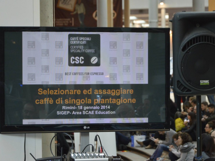 LA SELEZIONE DI UN CAFFE’ DI SINGOLA PIANTAGIONE