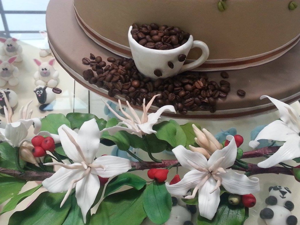 Fiori e drupe su un ramo di caffè...di zucchero!