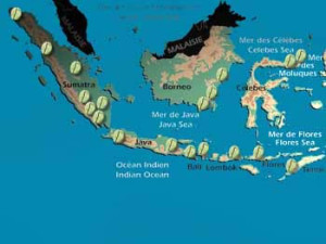 Indonesia mappa