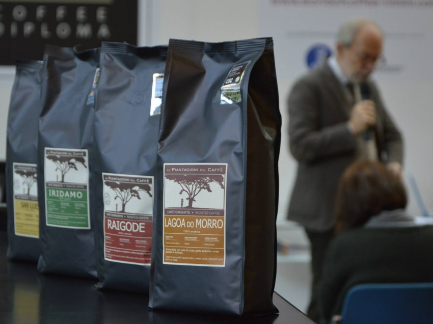 IL NOSTRO ASSAGGIO DI DUE CAFFE’ DI PIANTAGIONE, “EL SALVADOR, FINCA SAN LUIS” E “INDIA, RAGOIDE ESTATE”