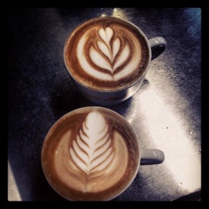 Tulip e rosetta in latteart