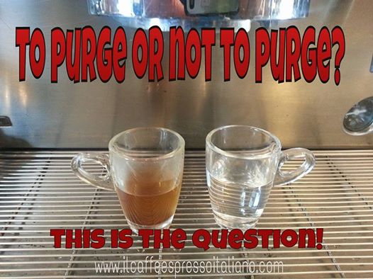 TO PURGE OR NOT TO PURGE. FAR USCIRE L’ACQUA DALLA MACCHINA PRIMA DI ESTRARRE L’ESPRESSO