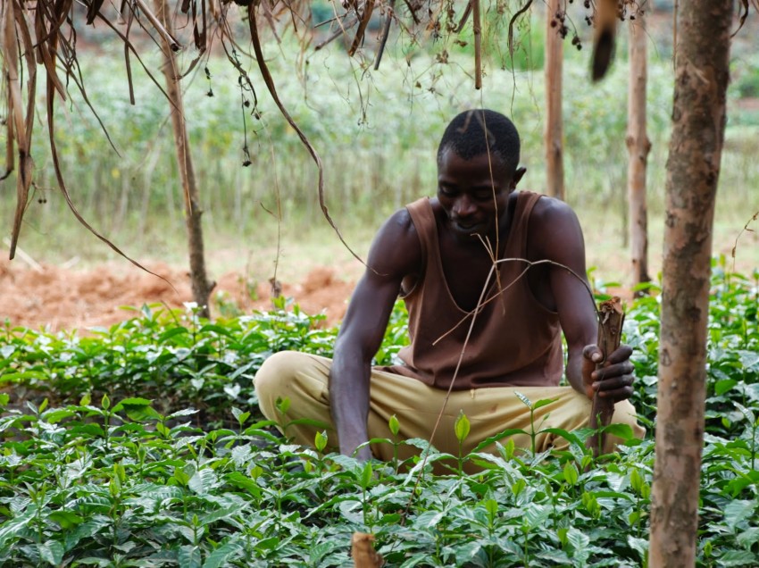 I CAFFE’ DI RUANDA E BURUNDI