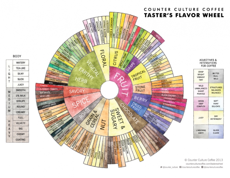 Taster's flavor wheel