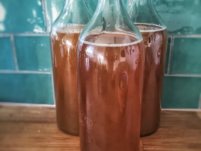 KOMBUCHA AL CAFFÉ, COS’É E COME SI PREPARA…