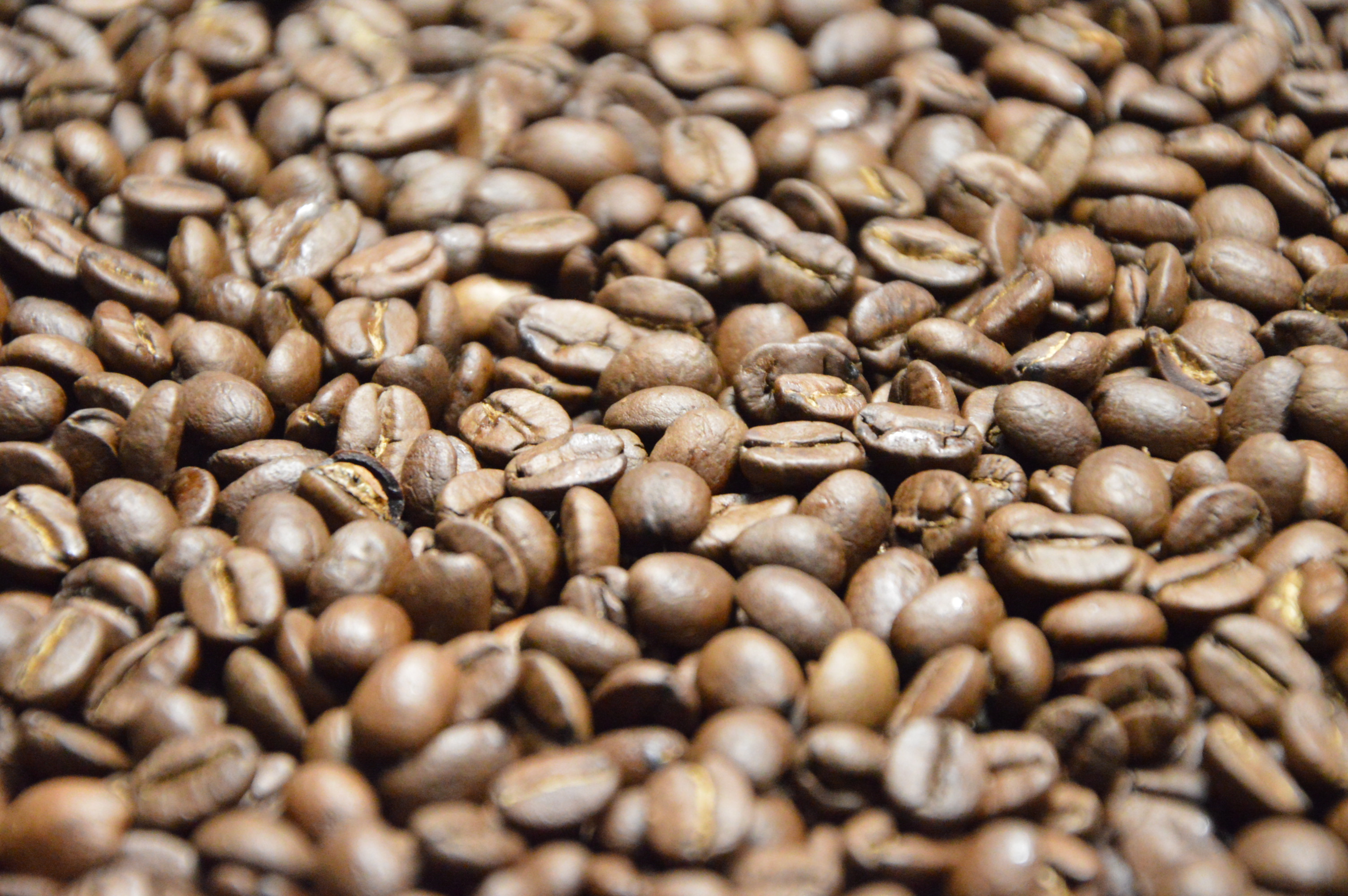 L’ASSAGGIO DEI CAFFE’ PRESENTATI DURANTE PAUSA CAFFE’ FESTIVAL: IL LAGOA DO MORRO