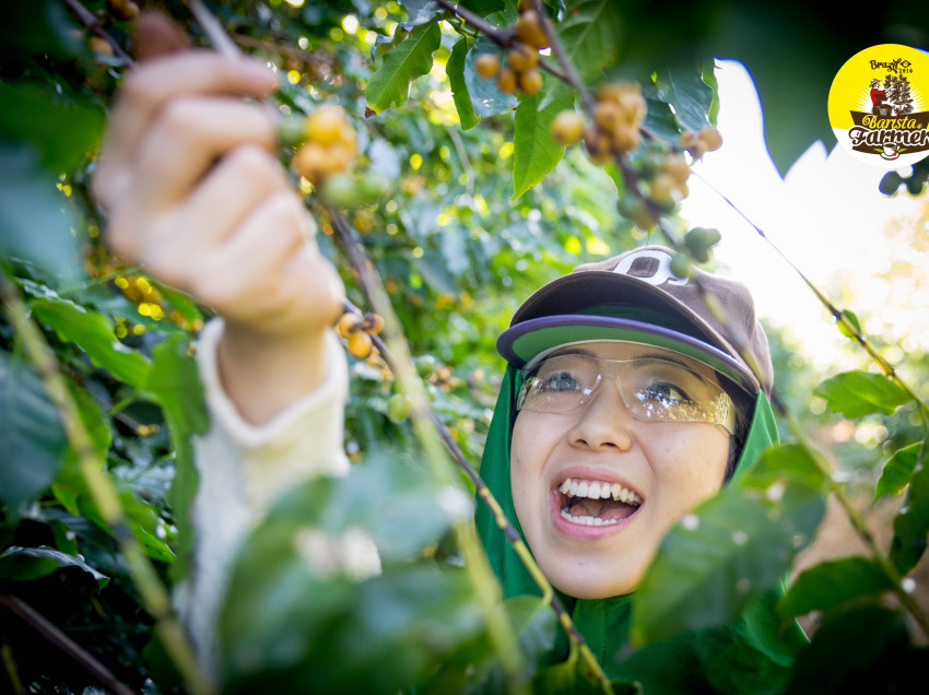 BARISTA & FARMER, TERZO GIORNO, I DIECI BARISTI PER LA PRIMA VOLTA IN PIANTAGIONE