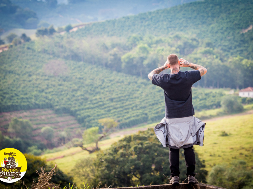 BARISTA & FARMER, OTTAVO GIORNO, LA GARA DI RACCOLTA STRIPPING