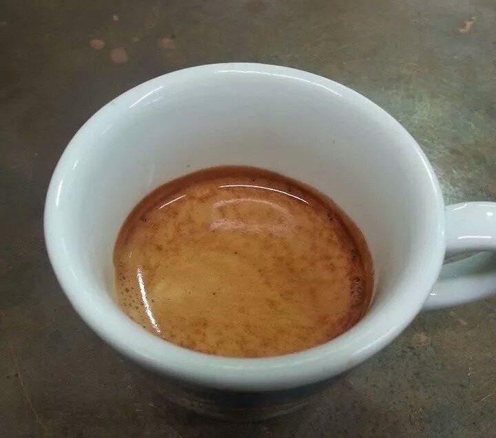 L’ASSAGGIO DEL CAFFE’ “CIGNO BIANCO”, LA MISCELA DI “GARDELLI SPECIALTY COFFEE”