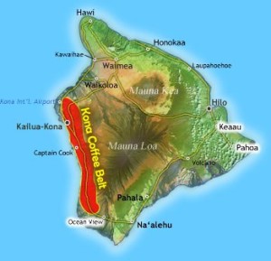 Il Caffè dell'isola di Kona