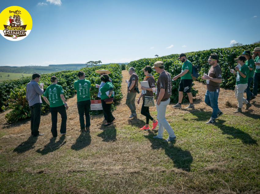 BARISTA & FARMER, SECONDO GIORNO IN BRASILE PER I 10 PARTECIPANTI