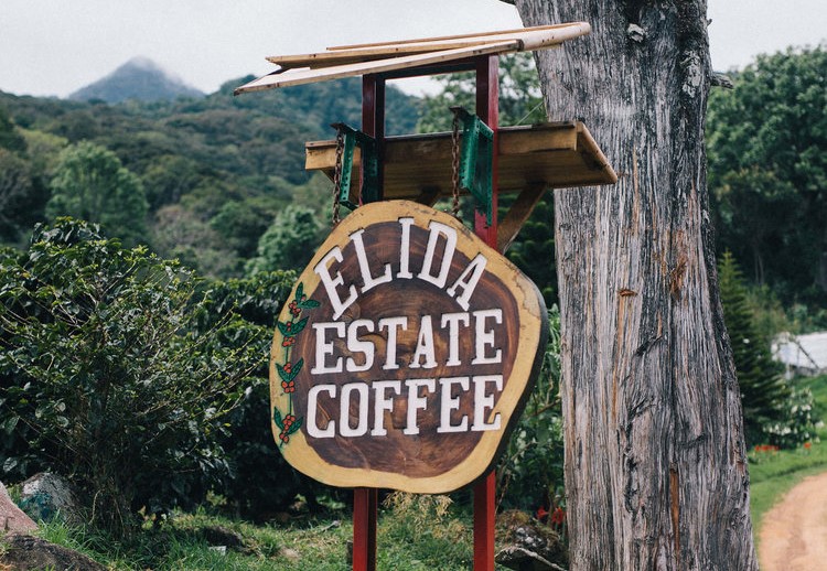 IL CAFFE’ PIU’ COSTOSO DEL MONDO