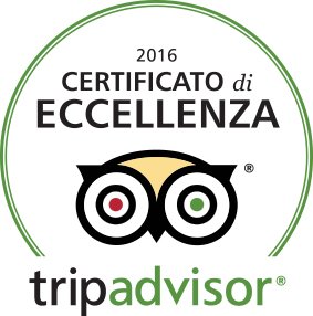 Trip Advisor