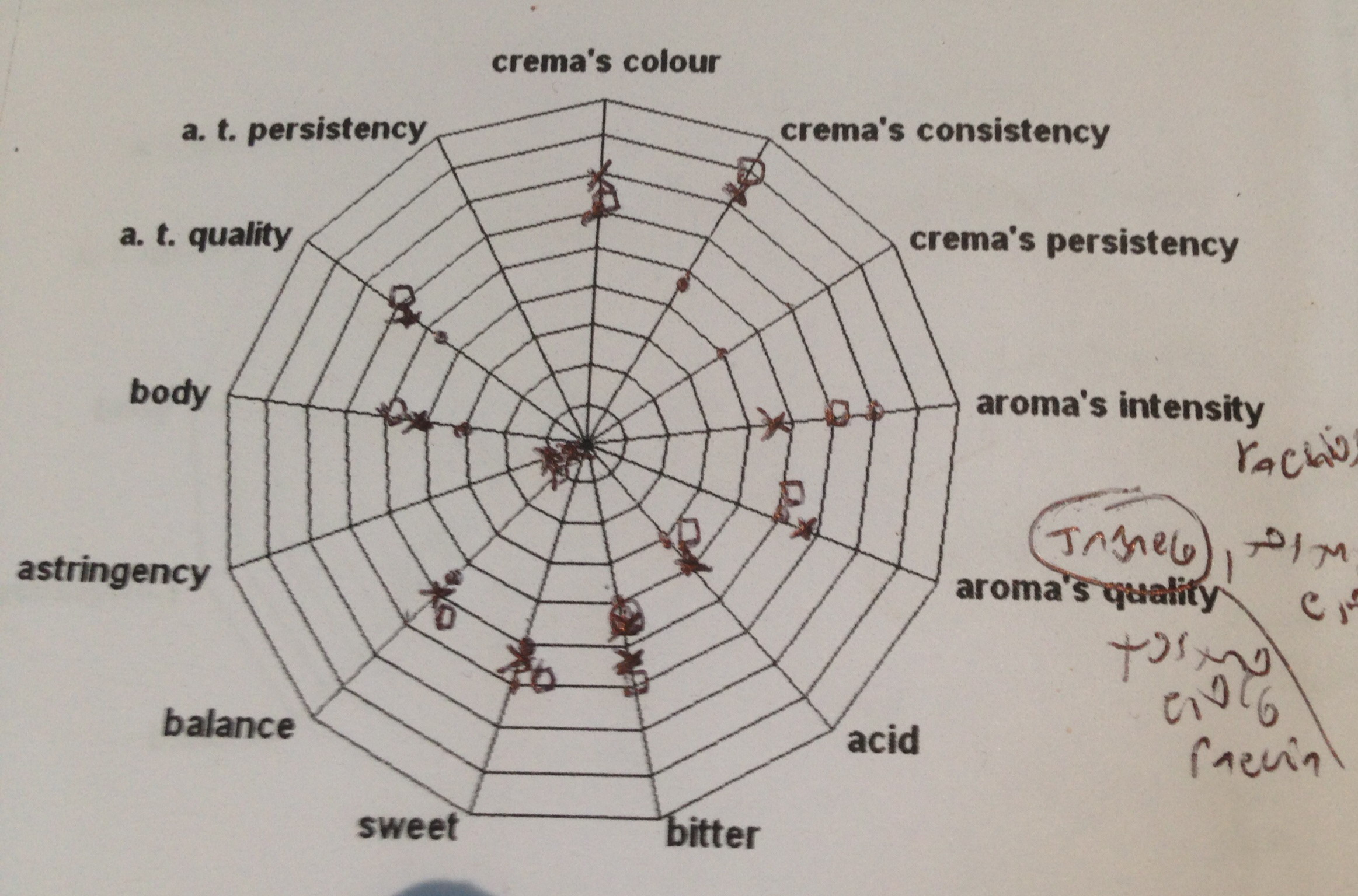 LA PERFETTA TEMPERATURA DI ESTRAZIONE PER OGNI CAFFE’: LA PROOF OF TASTE