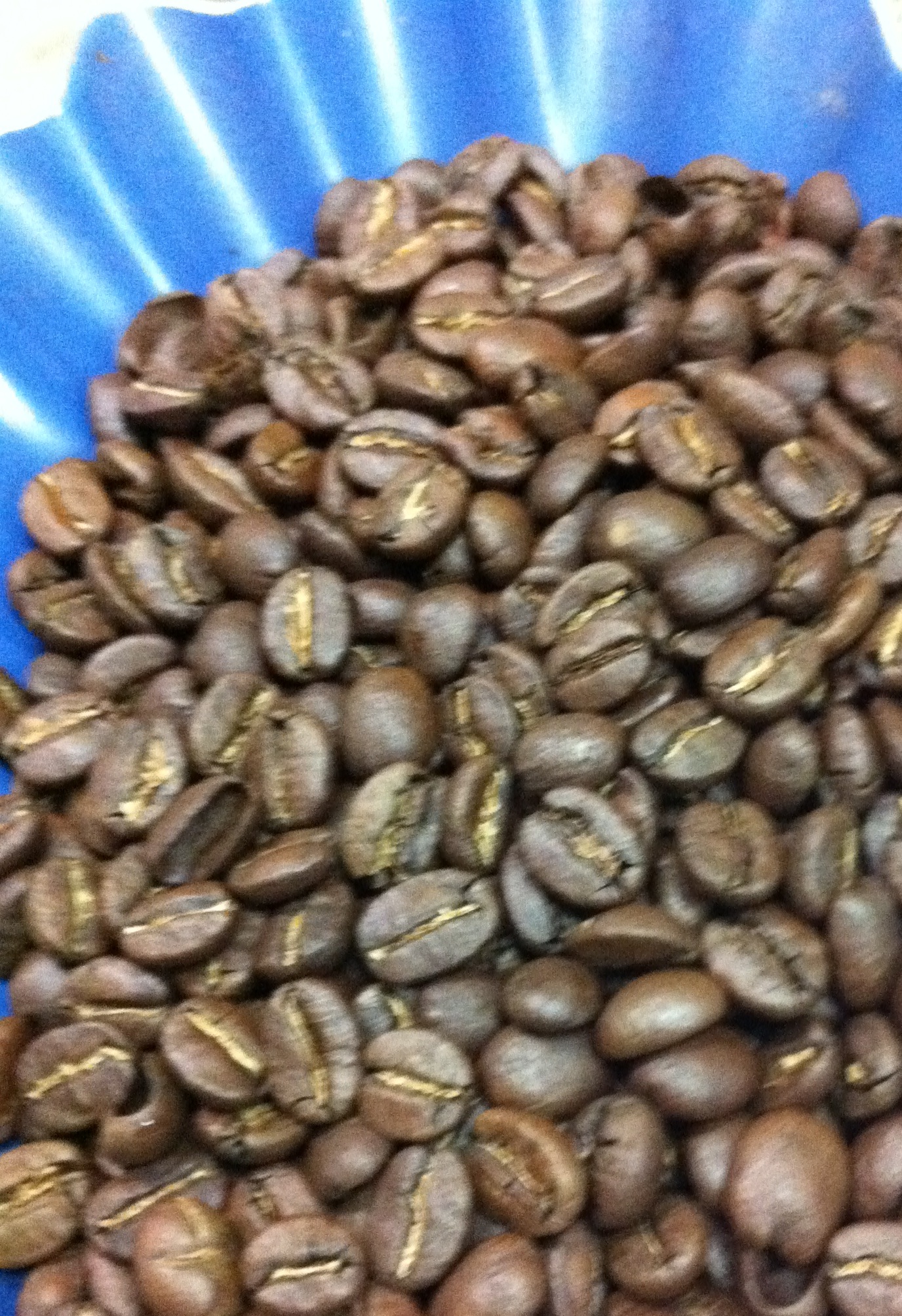 ASSAGGIO RAGIONATO DEL CAFFÈ ARABICA LAVATO KENYA AA