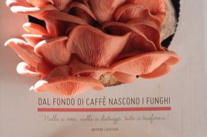 Funghi espresso