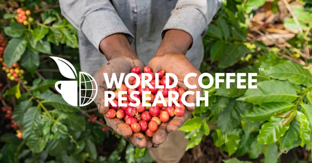World Coffee Research

