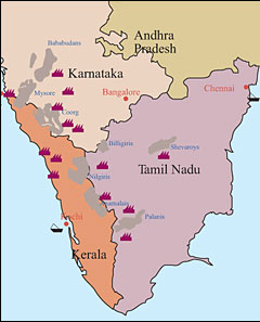 TUTTI I PAESI DEL CAFFE: L’INDIA